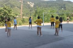 53-VOLLEYBALL-ΑΓΝΑΝΤΑ-2015