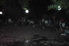 20-ΠΑΡΤΙ-ΝΕΟΛΑΙΑΣ-ΨΗΣΤΟ-ΝΑΡΘΕΙΣ-12.08.2012